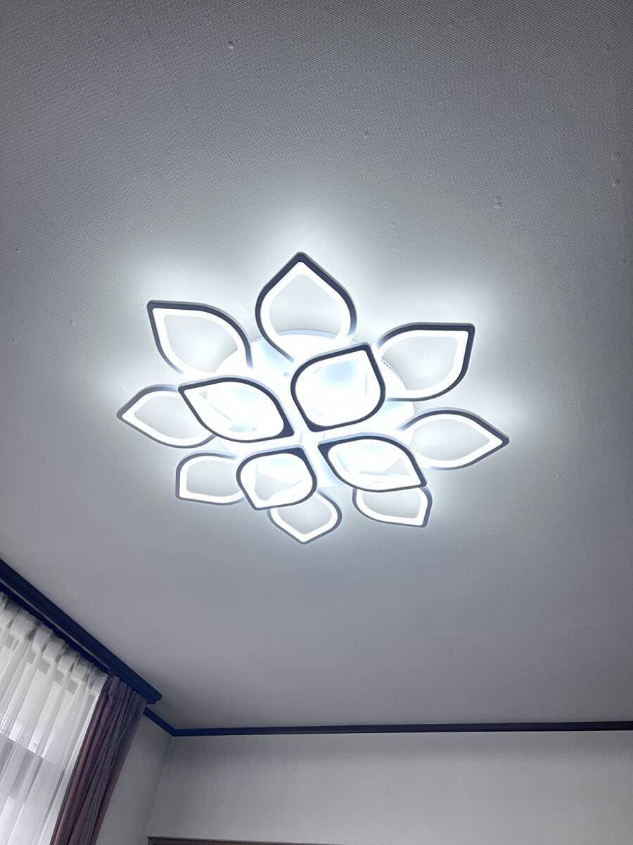 水連のような華やかさ シーリングライト 照明 インテリア 水連のような